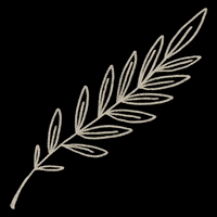 Olive Branch Art GIF