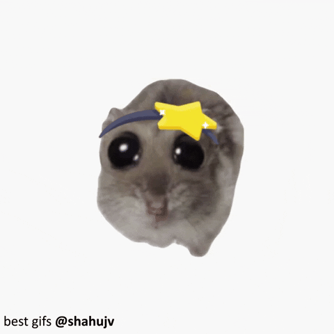 Hamster Meme GIF