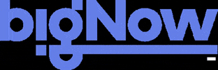 bignow logo logotype bignow GIF