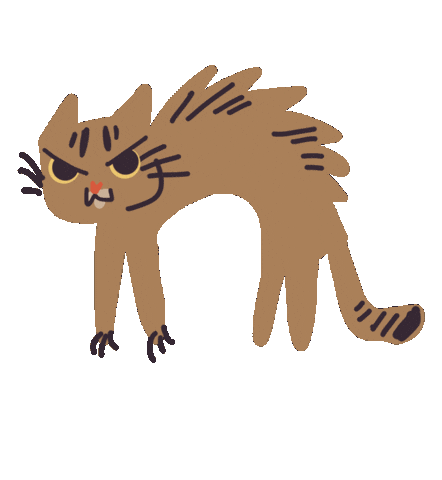 Cat Gatos Sticker by universoanimalmx