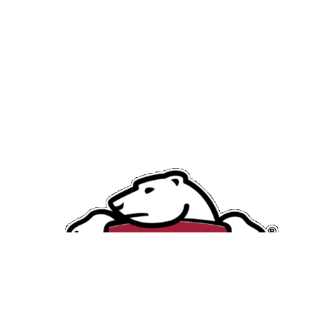 Arctic Spas Sticker