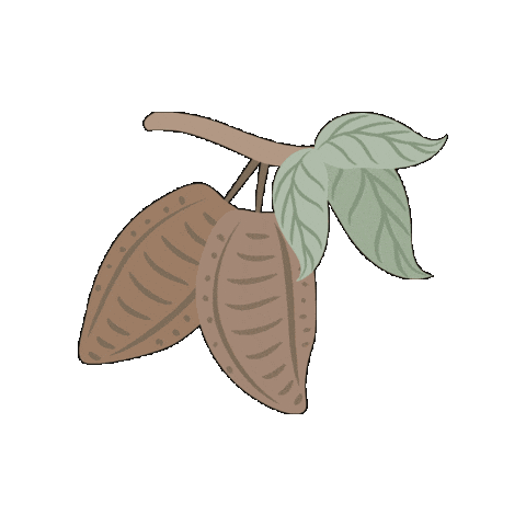 Costa Rica Jungle Sticker by Vajra Jahra Villas & Retreat Center