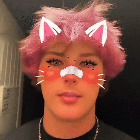 Bruce Lee Kitten GIF