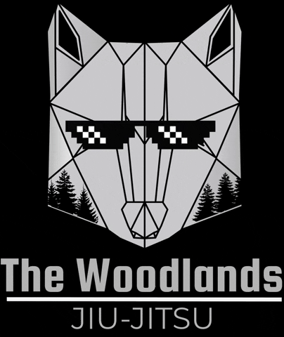 woodlandsjiujitsu woodlands the woodlands kerrville the woodlands jiu jitsu GIF