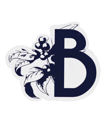 Blackwater Coffee Co. Sticker