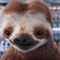 CoopPrix-happy-cute-sloth-BWplyaNrHRjRvweNjS