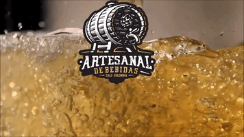 beer GIF by artesanal de bebidas