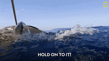 Hold On Attack GIF by National Geographic Channel