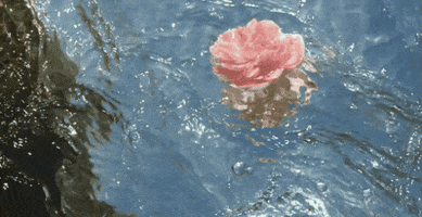 Flower GIF