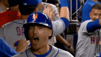 Lets Go Mets GIF - Lets Go Mets - Discover & Share GIFs