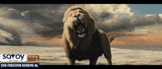 Lion Gs GIF by hansdrop