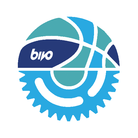 Team Sports Sport Sticker by Bivo