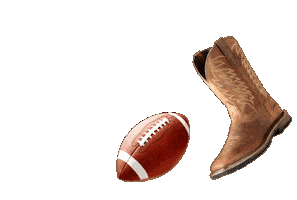Football Country Sticker by Ariat