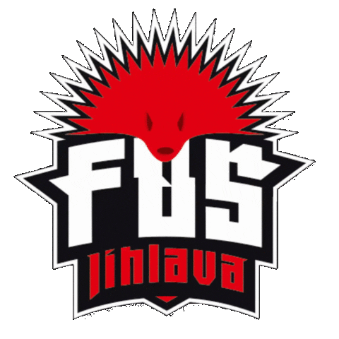 Florbalová škola Jihlava Sticker