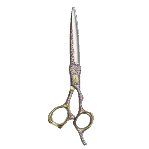 Friseur Schere Sticker by MizutaniEurope