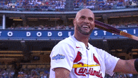 St. Louis Cardinals GIFs on GIPHY - Be Animated