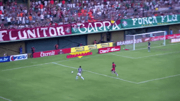 leandroalves  GIF