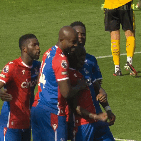 Get In There Premier League GIF by Crystal Palace Football Club