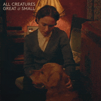 Dog Pet GIF by All Creatures Great And Small
