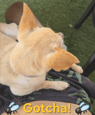 Eat Got You GIF