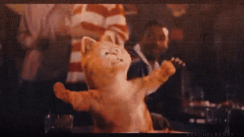 lasagna GIF