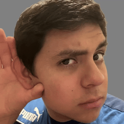 Angry Birds Listening GIF