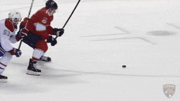 GIF by Florida Panthers