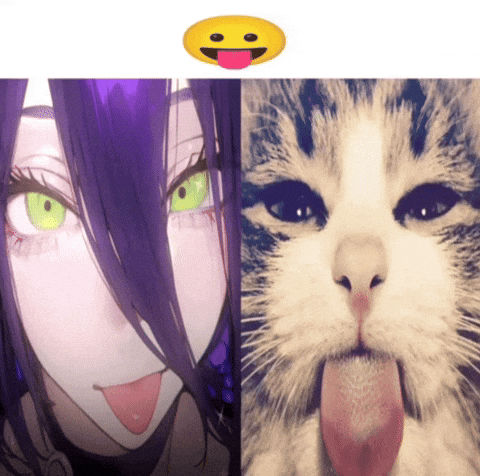 Silly Cat GIF