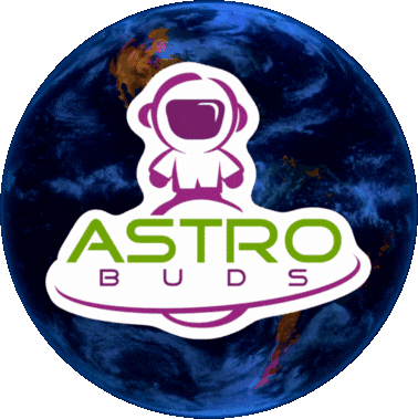 Sticker by Astro Buds