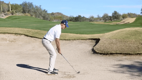 Golf Lovers Day GIF by Wilson Golf - Find & Share on GIPHY