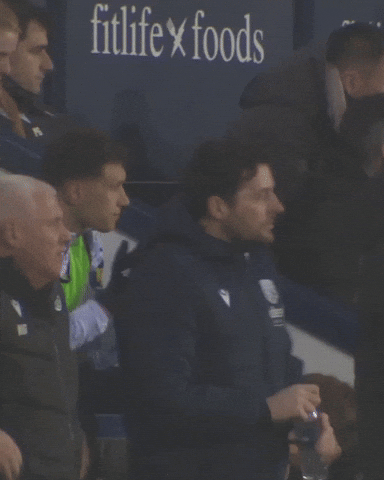 West Brom Wba GIF by West Bromwich Albion