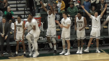 GIF by William & Mary Tribe Athletics
