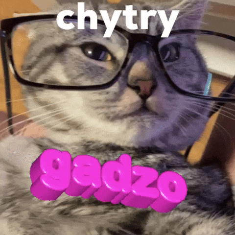 Cat Glasses GIF