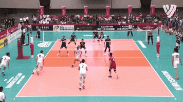 Lets Go Jump GIF by Volleyball World