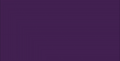 Princessroyaltrainingawards GIF