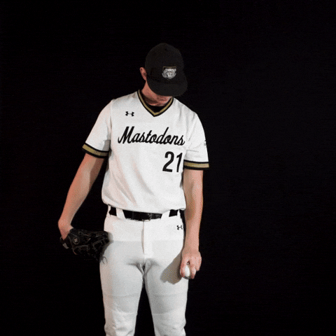 Baseball Dons GIF by Purdue Fort Wayne Athletics