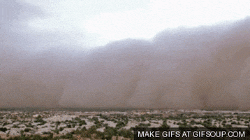 storm desert dust sweeps