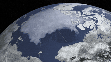 Arctic Sea Ice GIF