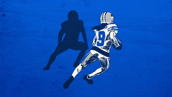 Dallas Cowboys Football GIF