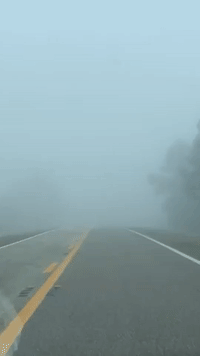Dense Fog Descends on Central Florida
