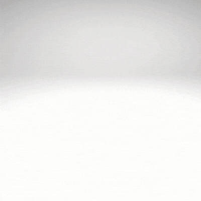 Claire Bear Foundation GIF