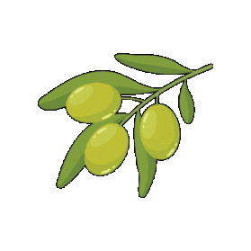 About Olive Oil Sticker