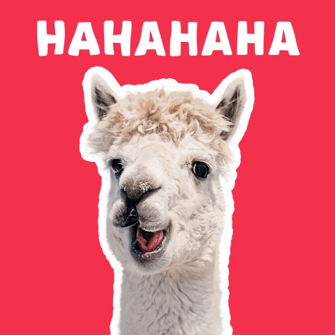 Pfanner Italia GIF