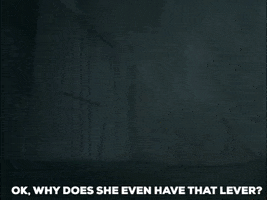 Llama GIF