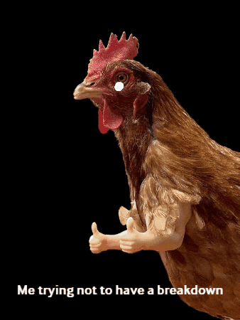 Kip GIF