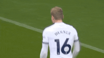 Happy Timo Werner GIF by Tottenham Hotspur