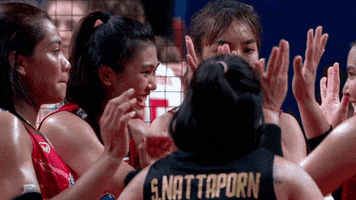 Thailand Celebrate GIF by Volleyball World