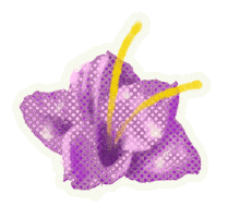 Flor Sticker by Conjuve