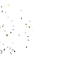 Özkan Bora Jant Lastik Sticker