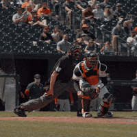 Pedro Severino Point GIF by Baltimore Orioles